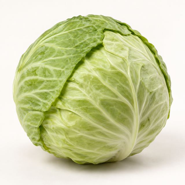 BIG CABBAGE